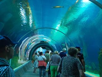 Seniorzy na całodniowej wycieczce do Łódzkiego Zoo