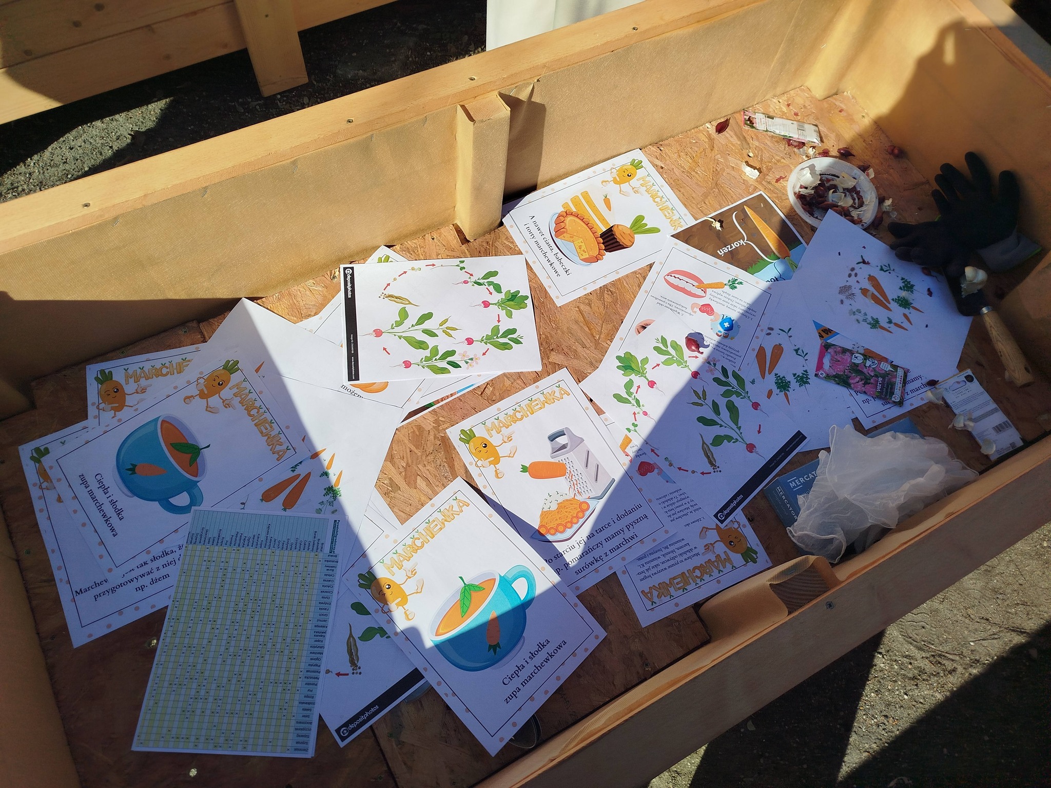 W pustej skrzyni do sadzenia roślin leżą kartki z grafikami i edukacyjnymi informacjami na temat marchewek