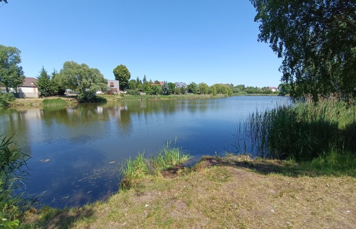 Zdjęcie przedstawia spokojne jezioro otoczone zielenią. Woda jest błękitna i odbija niebo oraz drzewa. Na brzegu rośnie trawa i trzciny. W oddali widoczne są domy i drzewa, które otaczają zbiornik wodny. Niebo jest jasne i bezchmurne. 