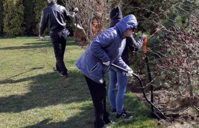 Trzy starsze osoby, ciepło ubrane, pracują w ogródku przy użyciu łopat i grabi. Kopią dziury przy płocie aby zasadzić nowe kwiaty