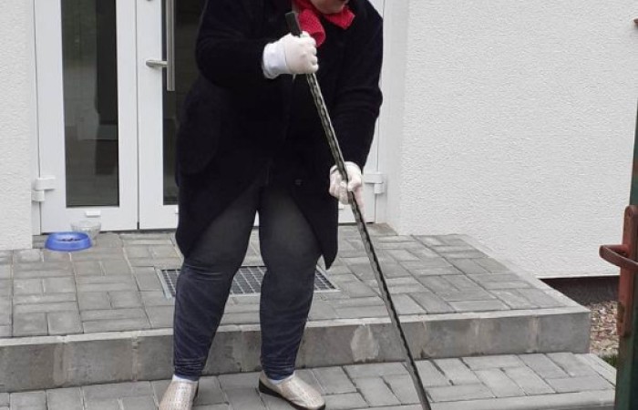Posadzona hortensja ogrodzona kamieniami. Przed rośliną znajduje się etykieta z nazwą "Hortensja" i zdjęciem kwitnącej rośliny o różowych kwiatach.