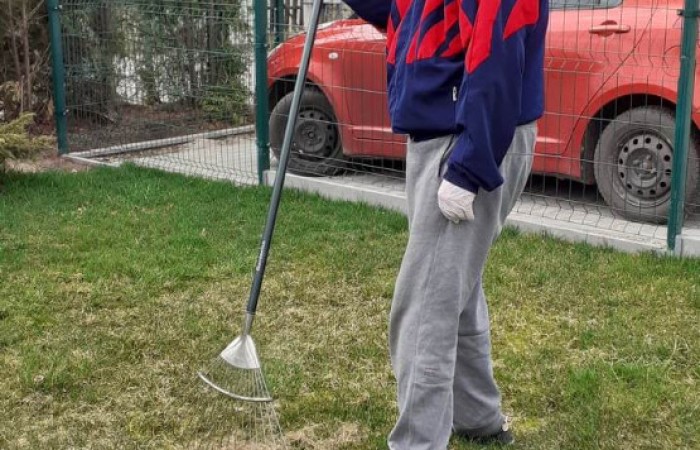 Mężczyzna w sportowej kurtce w kolorach granatowym i czerwonym oraz szarej czapce i dresowych spodniach grabi trawnik. Stoi na zielonym trawniku, a za ogrodzeniem znajduje się czerwony samochód oraz drzewa i krzewy ozdobne.