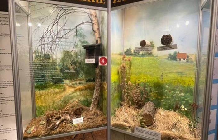 Stoisko w muzeum pszczelarstwa przedstawia dzikich zapylaczy