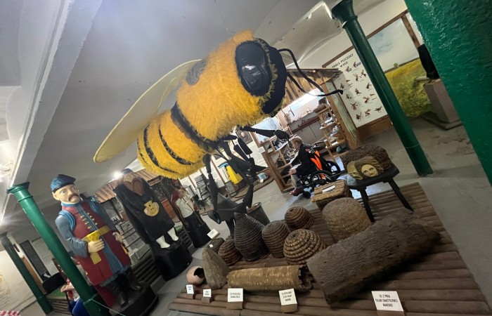 Gigantyczny futrzany model pszczoły zwisa z sufitu. Pod nim leżą historyczne przykłady uli których używali ludzie. Obok stoją wysokie figury trzech mężczyzn wyrzeźbionych z drewna.